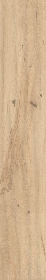 Log Bright Oak Forest 20x120
