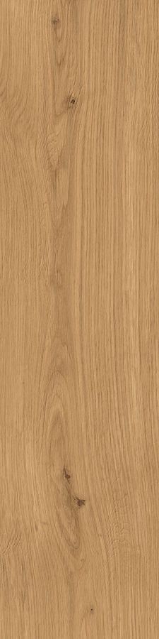 Log Amber Oak Forest 30x120 - 20mm