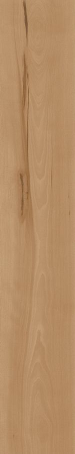 Log Cansei Fenice 20x120