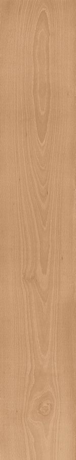 Log Cansei Darsena 20x120