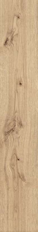 Exence Vanilla 20x120