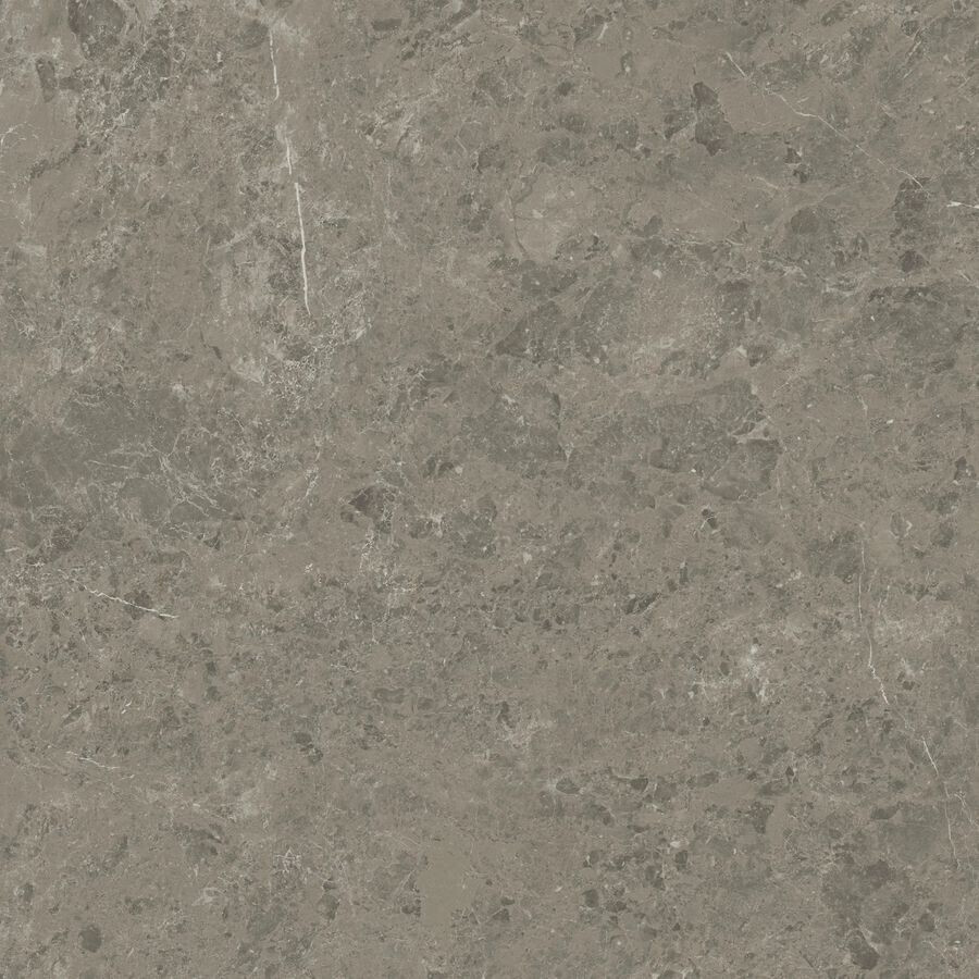Marvel Meraviglia Grigio Elegante 120x120 Lappato