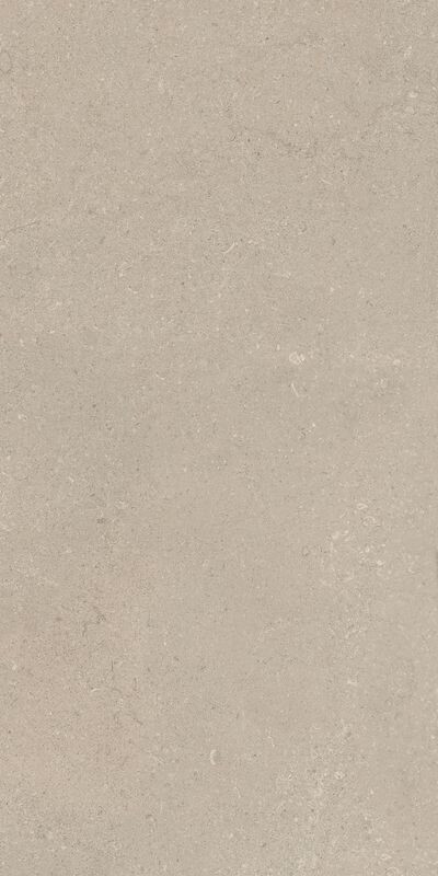 AUTHENTIC LUXE STONE CHABLISLIS MATTE LEATHER 60X120 6MM