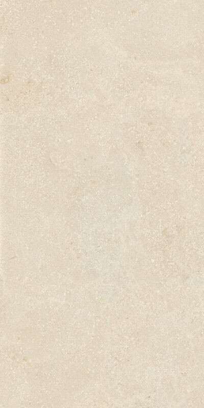 AUTHENTIC LUXE STONE MONTPELLIER MATTE LEATHER 60X120 6MM