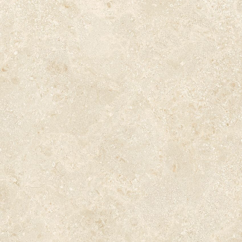 AUTHENTIC MONTPELLIER MATTE LEATHER  60x60 RET