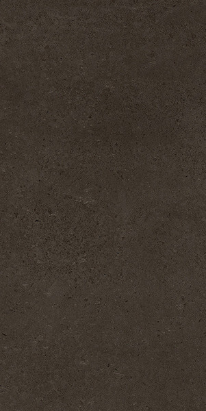SENSI TERRE CARBONE NATURALE TAVELLA 15X30