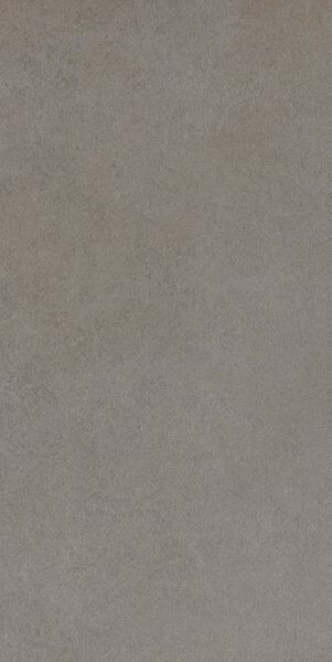 EASY LIFE GREY SALT MATTE 30X60 RET