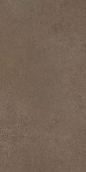 EASY LIFE MUSHROOM MATTE 60x120 RET