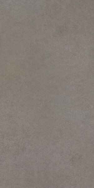 EASY LIFE GREY SALT MATTE 60x120 RET