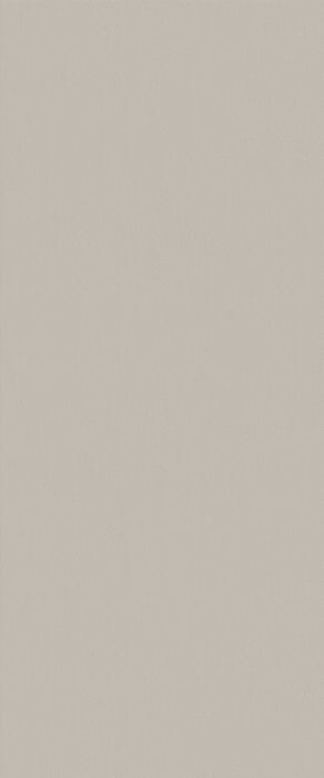 TRUE COLOR 50X120 FOSSIL MATT