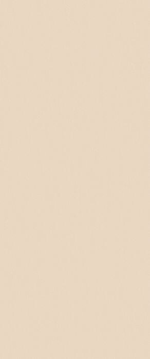 TRUE COLOR 50X120 TALC MATT