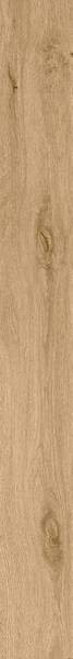 ROOTS 20X180 HONEY MATT R9