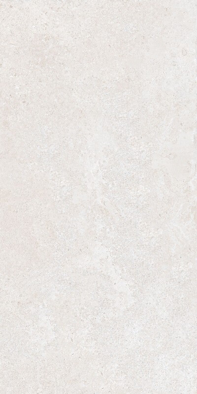 Brystone WHITE 60X120 R9 RT