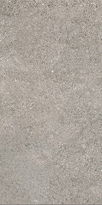 Brystone GREY 30X60 R9 RT