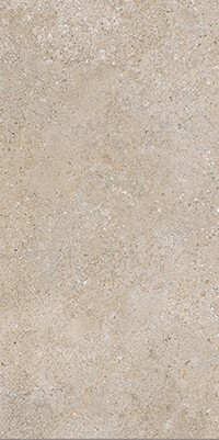 Brystone GOLD 30X60 R9 RT