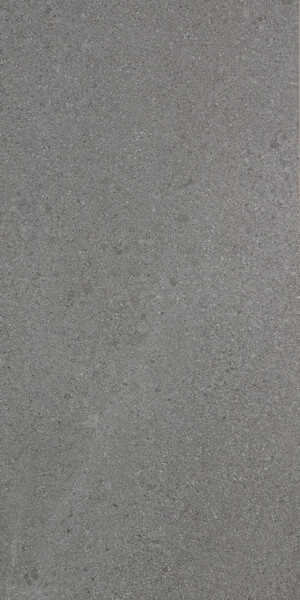 Chorus GREY 60X120 R9 RT