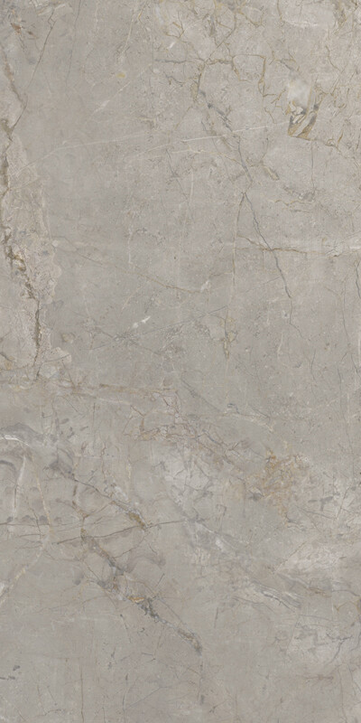 Elements Lux Silver Grey 60X120 Silk 