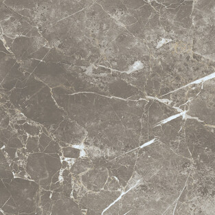 Elements Lux Persian Grey 60X60 SILK 