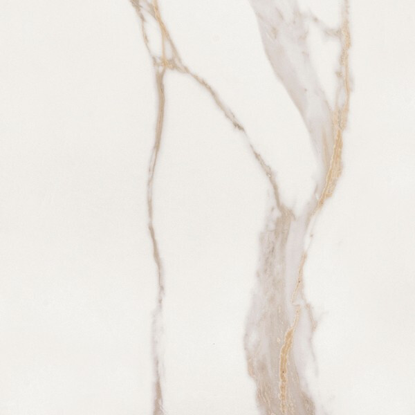 Elements Lux Calacatta Gold  Silk 120X120
