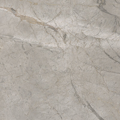 Elements Lux Silver Grey 60X60 Silk 