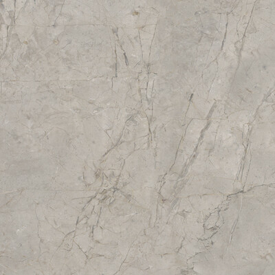 Elements Lux Silver Grey Silk 120X120