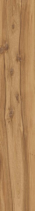 Evoke BEIGE 20X120 SC. RT