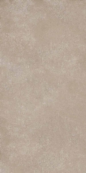 Geo WALNUT 30X60 R9 RT