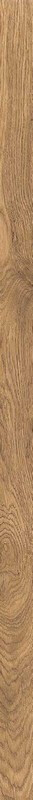 Journey CARAMEL 5X120 R9LAV