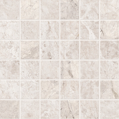 Omnia Emperador White Mosaico T5 30X30 ASS