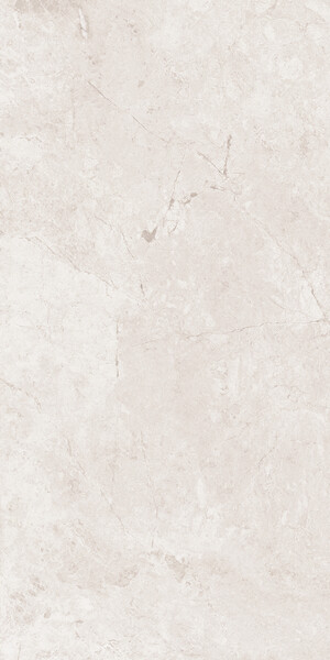 Omnia Emperador White 60X120X2 SP RT