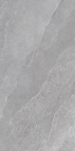 Ubik GREY 60X120X2 SP RT