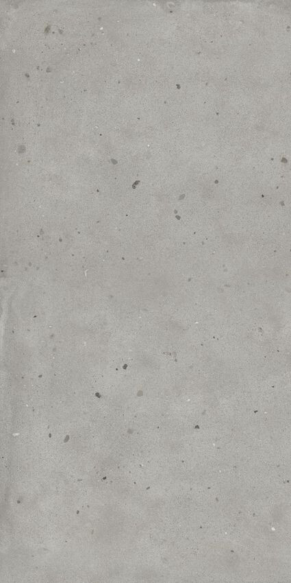 Avantgarde Silver 60х120 Ret
