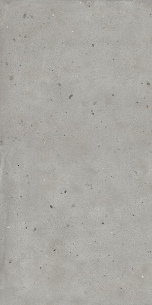 Avantgarde Silver 60х120 Ret X2