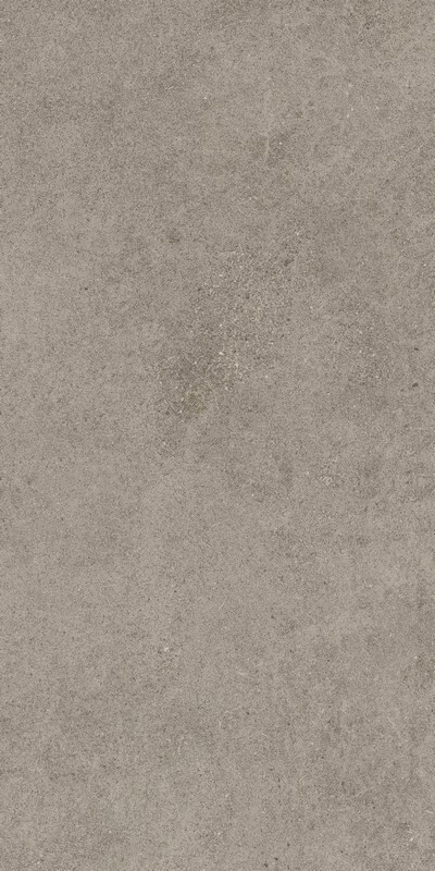 Forte Dei Marmi Rock Lunar Grey 60x120 LASTRA 20mm