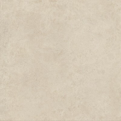 Boost Vision Camel 120x120
