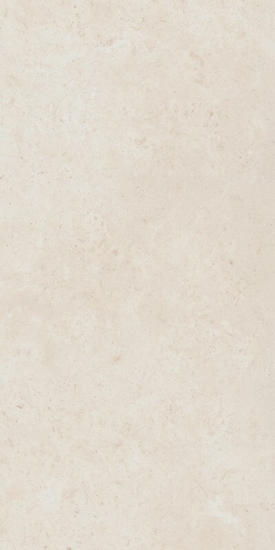 Fossil Pure 60X120 Ret