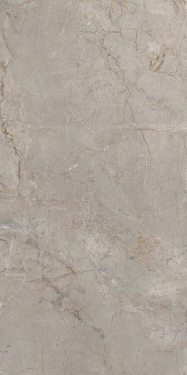 Elements Lux Silver Grey 60X120 NAT