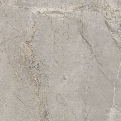 Elements Lux Silver Grey 60X60 Lappato 