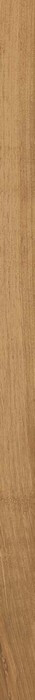 Evoke BEIGE LIST 3X120 3X120 LAV