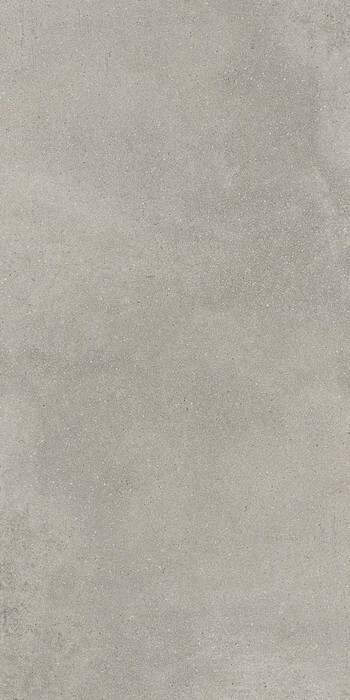 MOOV GREY 60X120 R11 RT