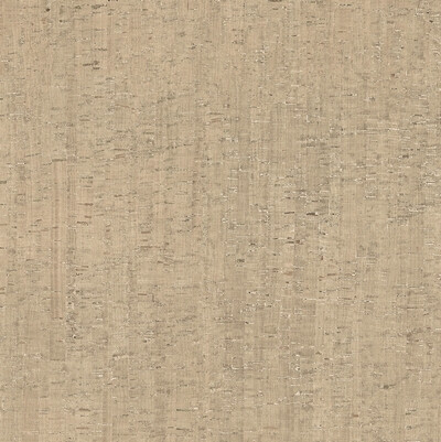 RINASCENZA MODULO CONCHIGLIA MATTE 6MM 120X120