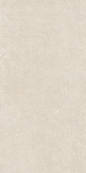 RINASCENZA ARENA BIANCO MATTE 6MM 120X240