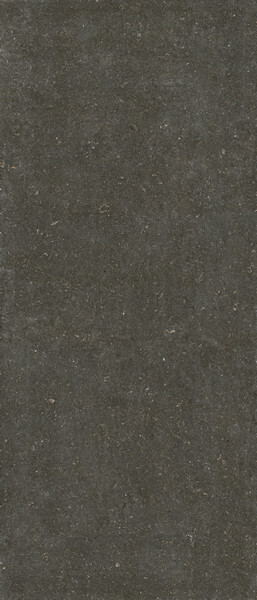 RINASCENZA ARENA PLATINO MATTE 6MM 120X280