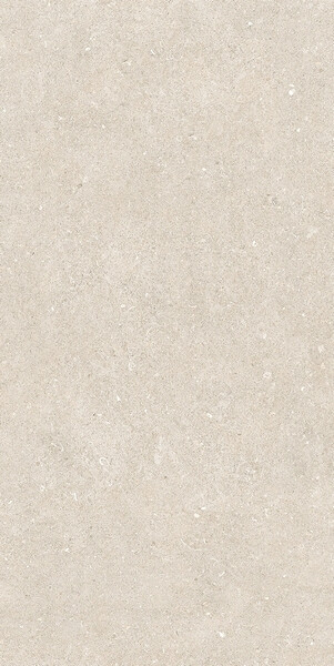 RINASCENZA ARENA BIANCO MATTE 6MM 60X120