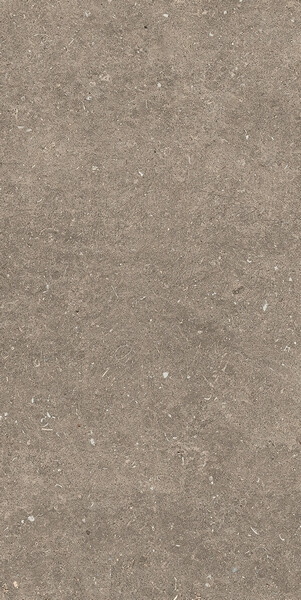 RINASCENZA ARENA PIETRA MATTE 6MM 60X120