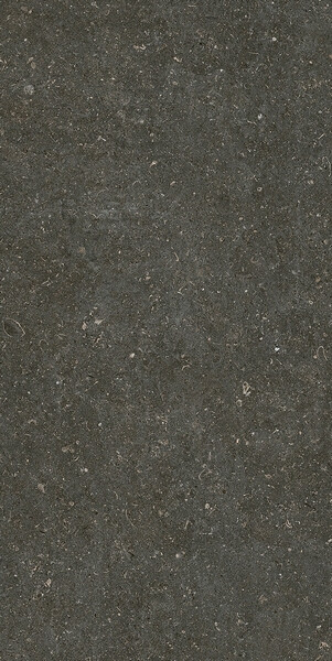RINASCENZA ARENA PLATINO MATTE 6MM 60X120