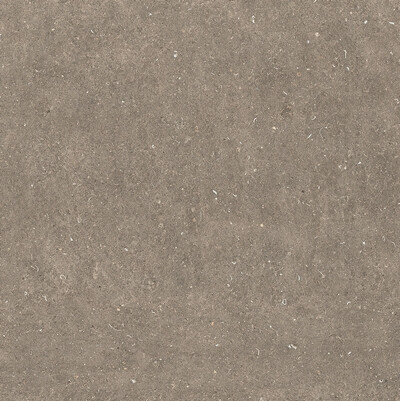 RINASCENZA ARENA PIETRA GRIP 20MM 120x120 RET