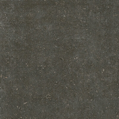 RINASCENZA ARENA PLATINO GRIP 20MM 120x120 RET
