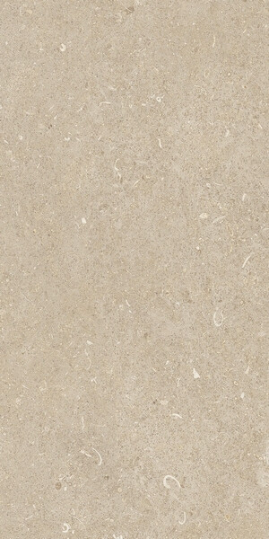 RINASCENZA ARENA CONCHIGLIA MATTE 30x60 RET