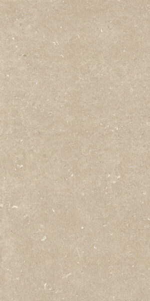 RINASCENZA ARENA CONCHIGLIA GRIP 20MM 60x120 RET